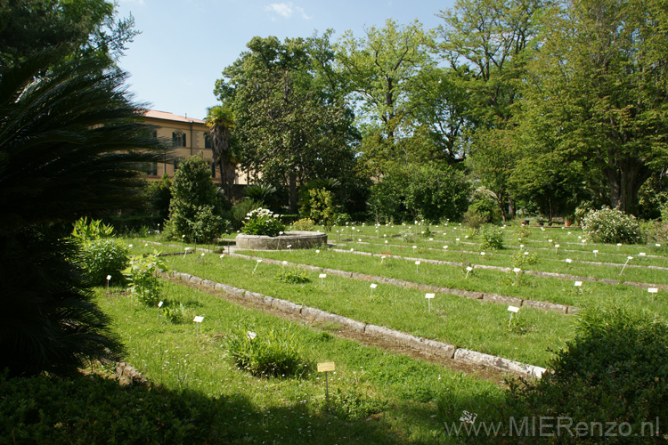 20120514155830 Pisa - Oudste botanische tuin ter wereld