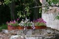 20120514161422 Pisa - Oudste botanische tuin ter wereld