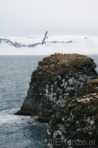 20120318133000 Tour Snæfellsnes