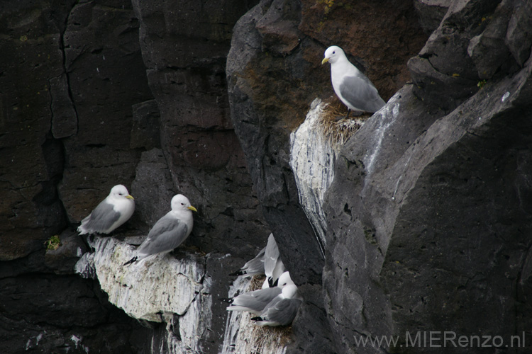 20120318134354 Tour Snæfellsnes