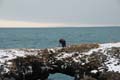 20120318134334 (Marieke) Tour Snæfellsnes