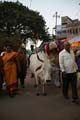 20130305180346 Mier - Varanasi - De heilige koe