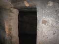 20130310082110 Mier - Bandhavgarh NP - vleermuizen in de grot