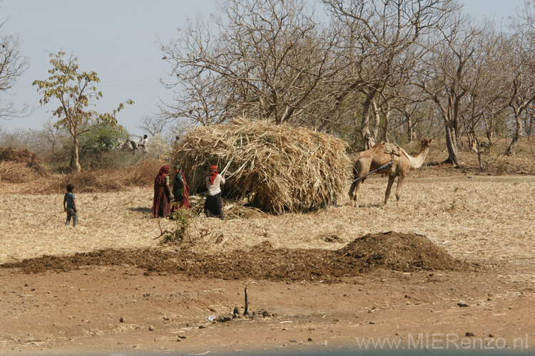 20130319151944 Mier - Sasan Gir NP