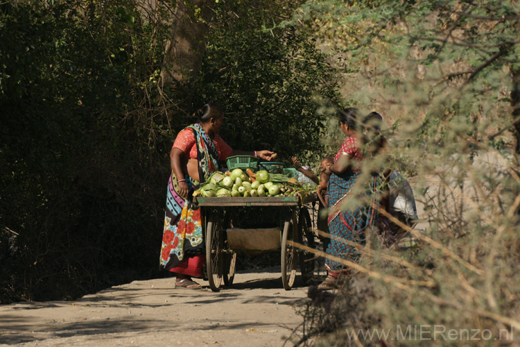 20130320094310 Mier - Sasan Gir NP