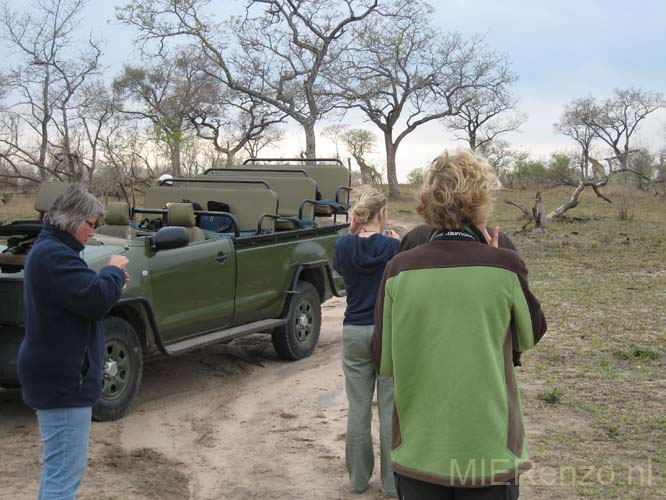 20071003 B (17) Sabi Sand - Safari - thee bij de giraffen