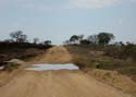 20071002 A (08) Op weg naar Sabi Sand (~Kruger)