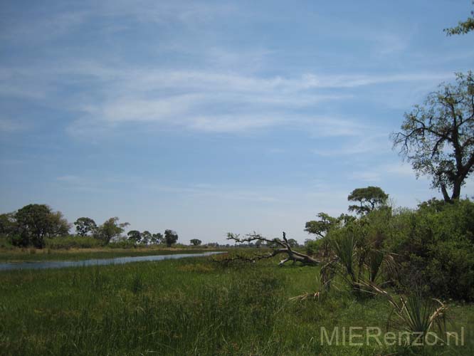 20071007 B (83) Okavango Delta