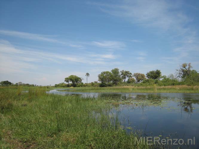 20071007 B (86) Okavango Delta