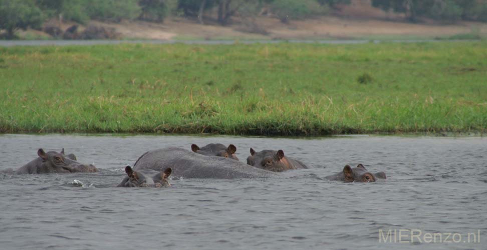 20071010 D (63) Chobe Rivier Sunset Cruise