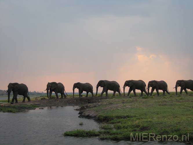 20071010 E (72) Chobe Rivier Sunset Cruise - kicken!