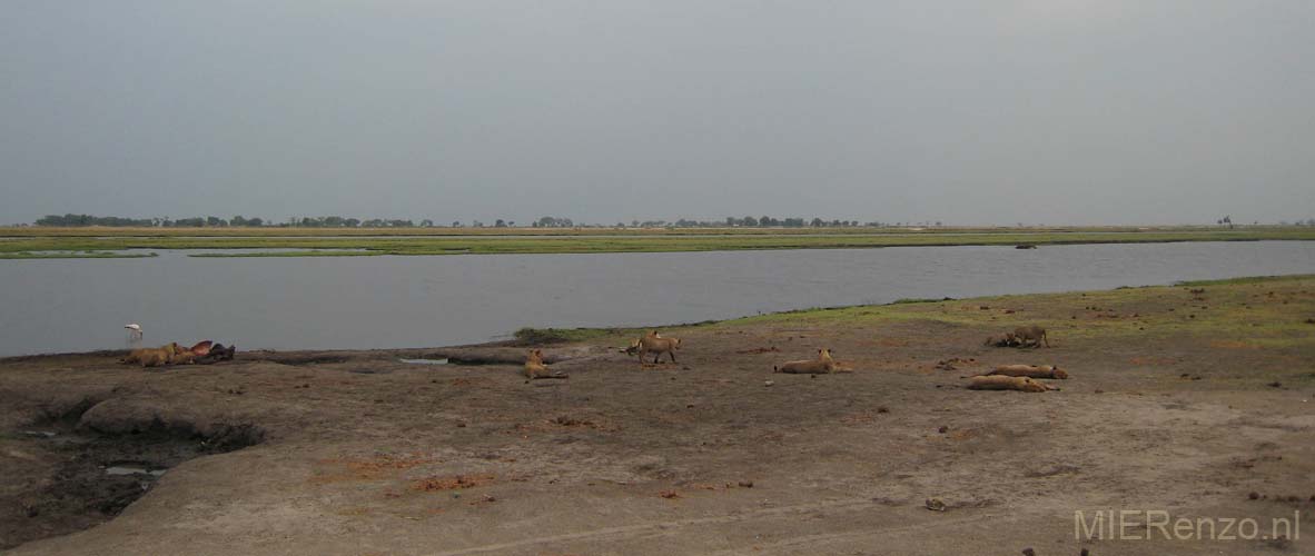 20071011 A (38) Chobe NP