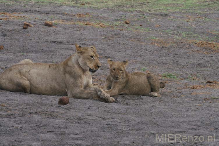 20071011 A (48) Chobe NP