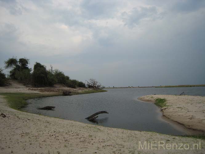 20071011 B (13) Chobe NP