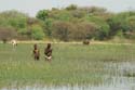 20071007 B (06) Okavango Delta