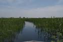 20071007 B (50) Okavango Delta