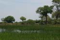20071007 B (53) Okavango Delta