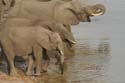 20071010 C (41) Chobe NP