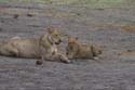 20071011 A (48) Chobe NP