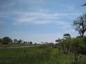 20071007 B (83) Okavango Delta