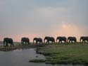 20071010 E (72) Chobe Rivier Sunset Cruise - kicken!