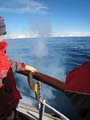 20081227 B (5) Drake Passage - toch maar de motor bijschakelen