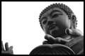 20110328153958 Giant Boeddha alias BIG boeddha!