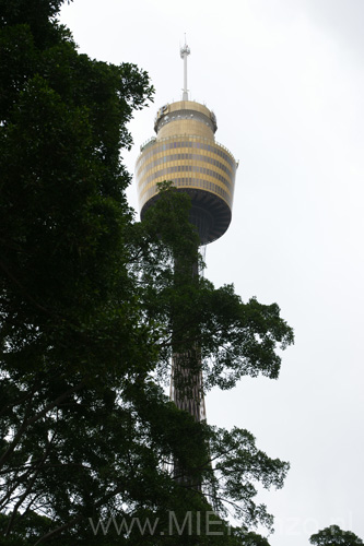 20110331141214 Sydney Tower