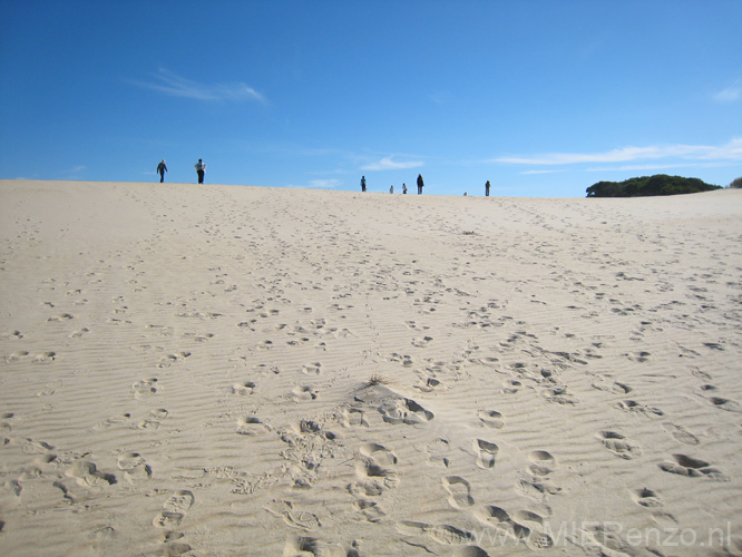 20110406144114 Duinen!