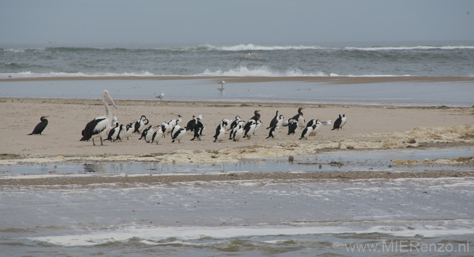 20110418125725 Coorong NP