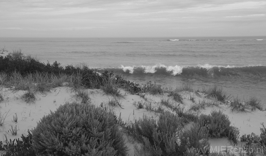 20110418131339 Coorong NP