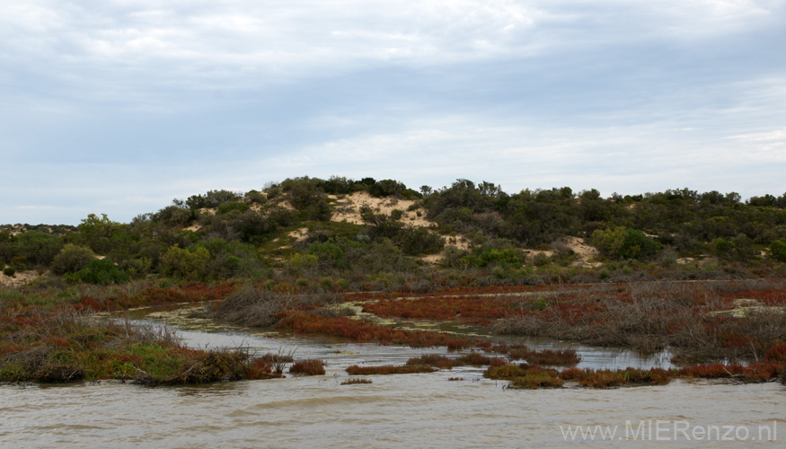 20110418140945 Coorong NP