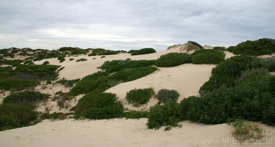 20110418153204 Coorong NP