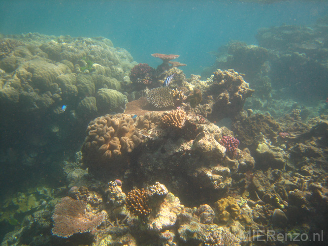 20110501134859 Great Barrier Reef