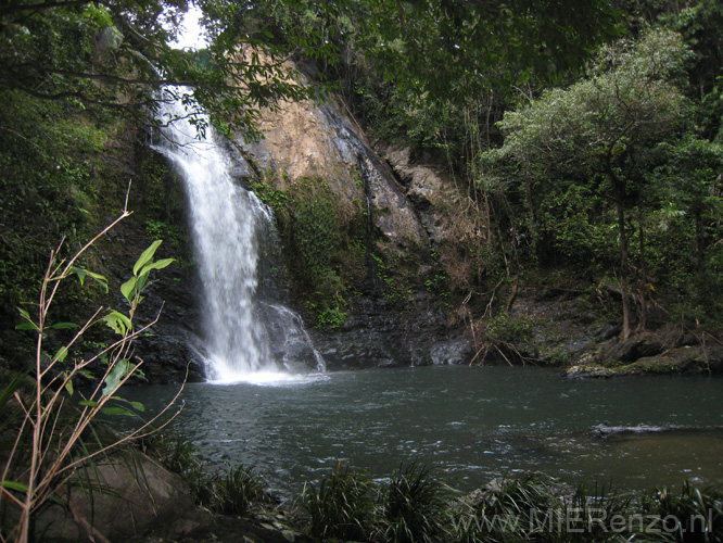 20110505150901 Waterval Daintree NP