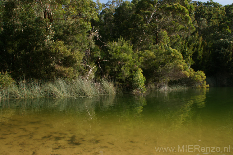 20110425151823 Fraser Island