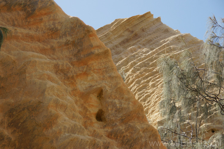 20110426115431 Fraser Island