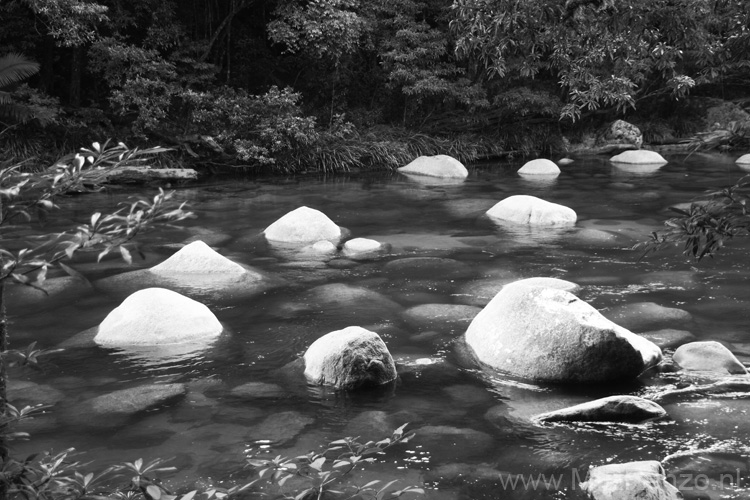 20110505083845 Mossman Rivier