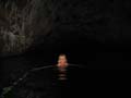 20110504094011 Mier zwemt in de Undara Lava Tubes