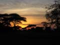 20100127190234 TanZanM - Serengeti NP - This is Africa!