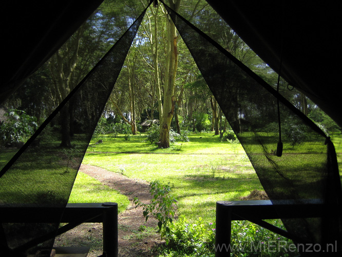 20100126144554 TanZanR  Migunga forest tented lodge