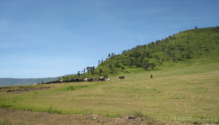 20100131094427 TanZanM - Ngorongoro Krater