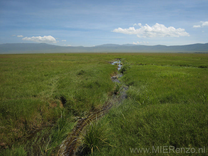 20100131111730 TanZanM - Ngorongoro Krater