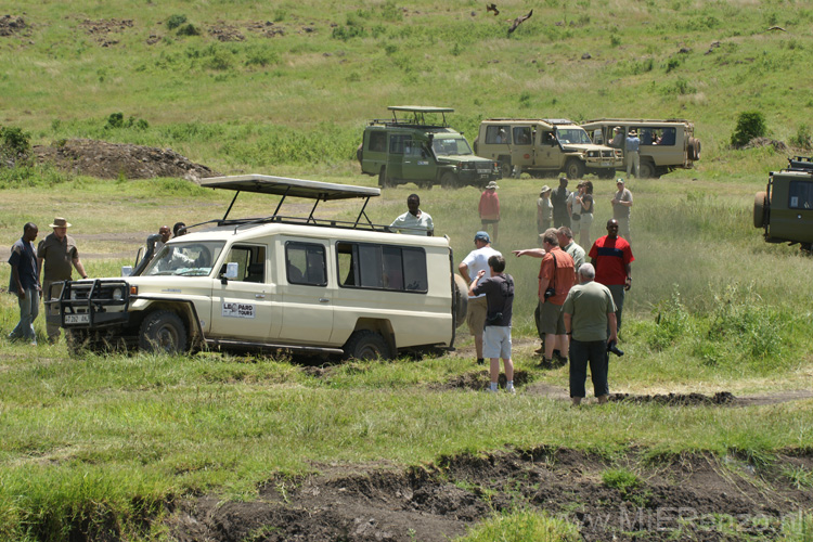 20100131132042 TanZanM - Ngorongoro Krater