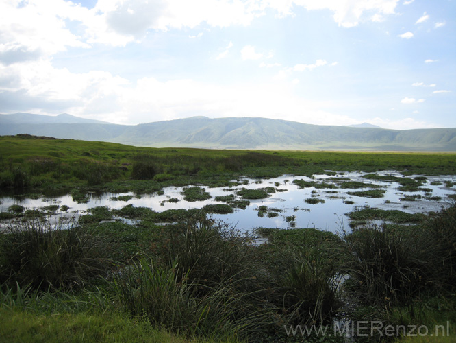 20100131150043 TanZanM - Ngorongoro Krater