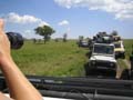 20100129114805 TanZanR - Serengeti NP - Daar gaat het luipaard weer