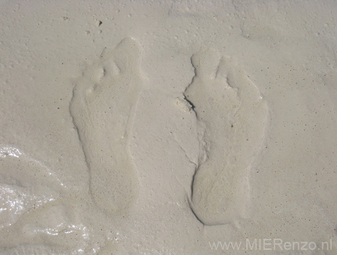 20100204145131 TanZanM - My footprints in the sand of Zanzibar!