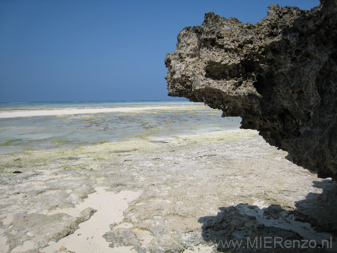 20100204150406 TanZanM - Zanzibar - Nungwi