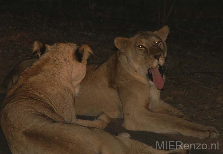 20060903 C (30) Z-Afrika - Kruger