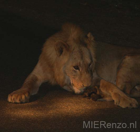 20060903 C (36) Z-Afrika - Kruger